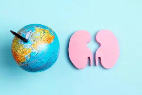 Día Mundial del Riñón 2021: cómo vivir bien con enfermedad renal Día Mundial del Riñón 2021