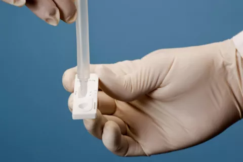 Crean un test rápido y portátil para detectar coronavirus y sus cepas Test portátil de COVID que rastrea cepas