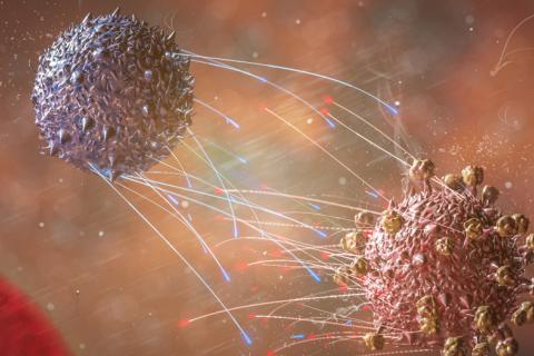 Células T combaten variantes del COVID