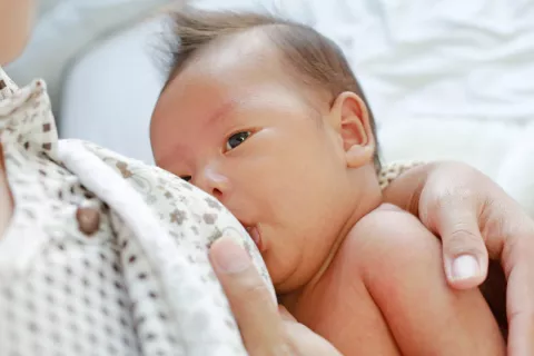 Dar betaína a madres lactantes puede prevenir la obesidad en sus bebés Betaína frente a la obesidad infantil