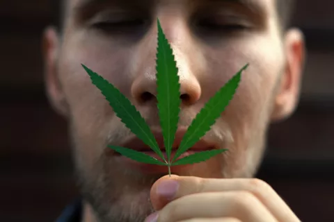 La nariz esconde un nexo entre fumar cannabis y trastos psiquiátricos Cannabis y trastornos psiquiátricos