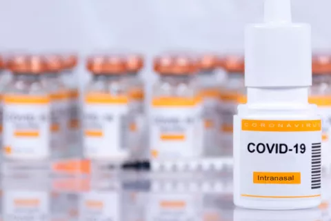 Crean nuevos anticuerpos nasales más potentes contra el COVID-19 Tratamiento intranasal contra el covid-19