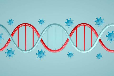 Un gen explica por qué hay asintomáticos