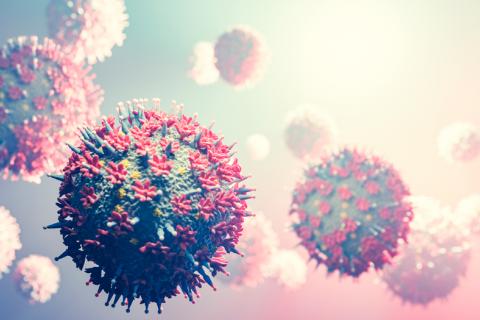 OMS: ómicron podría finalizar pandemia