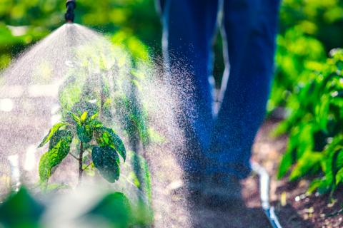 Más EPOC en trabajos con pesticidas