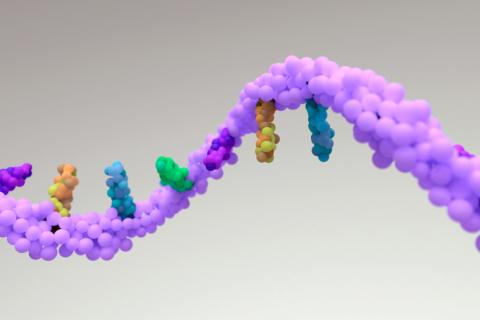 Más de 130.000 virus ARN descubiertos