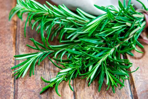 A compound from the herb rosemary may be useful against COVID-19