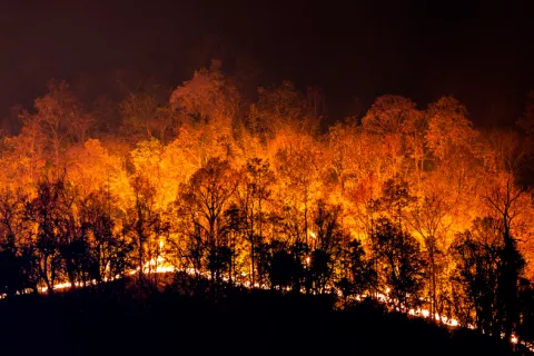 Noise pollution and fires threats to the planet and health Noise pollution and fires threats to the planet and health