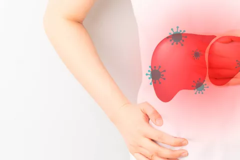 Primeros casos en Europa de hepatitis por un nuevo virus zoonótico Hepatitis por un nuevo virus en Europa