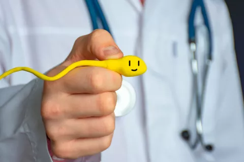 Esperanza frente a infertilidad: imprimen células testiculares en 3D Especialista en fertilidad sostiene un modelo de esperma ampliado en su mano