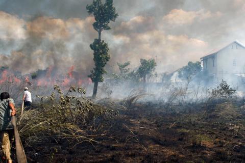 Incendios forestales y más riesgo cáncer