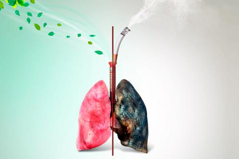 Fumar amenaza tu salud y la del medioambiente