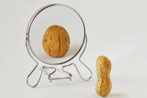 Cacahuete en el espejo, relación entre anorexia y menor estructura cerebral