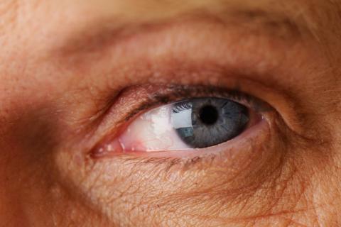 Salud ocular, vinculada a la dieta y la longevidad