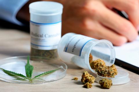 Médico recetando cannabis medicinal