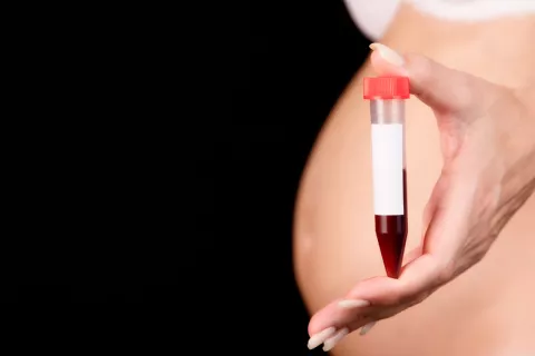 Sangre materna sale
