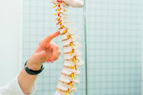 Recuperación de los los nervios tras una lesión espinal