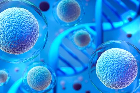 ADN basura propicia desarrollo de cáncer