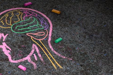 Representación de un cerebro humano dibujado con tizas de colores