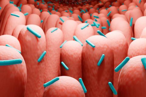 Ilustración 3D de bacterias intestinales