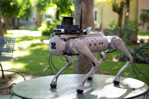 Perro robotizado sobre un mesa de campo