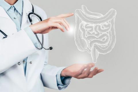 Médico señalando una ilustración del aparato digestivo