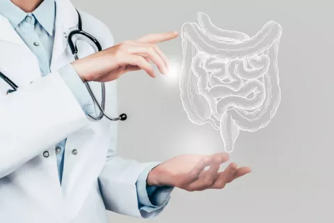 Descubren más de 100 genes asociados al riesgo de cáncer colorrectal Médico señalando una ilustración del aparato digestivo