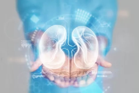 Donación de riñón en mayores de 60 años Trasplante renal de donante vivo
