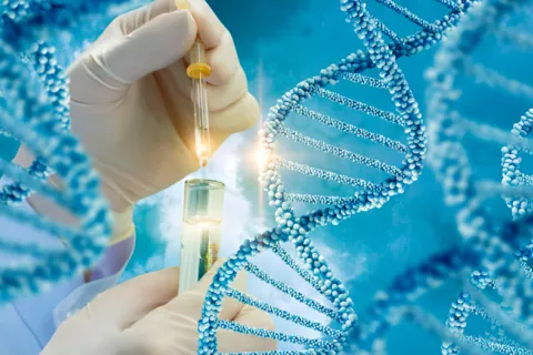 Demuestran que una herramienta de edición genética derivada de CRISPR puede reparar una lesión del corazón que aumenta el riesgo de infarto, y que podría utilizarse para tratar a pacientes con diferentes enfermedades cardíacas. Científico manipulando el ADN de un humano