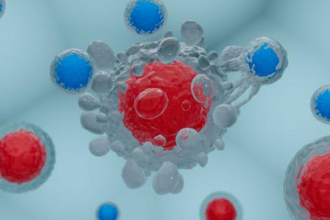 Células CAR T atacando una célula cancerigena