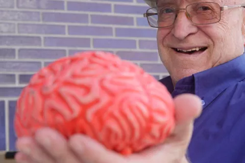 Anciano sujetando un modelo 3D de un cererebro