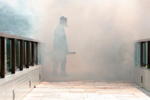 Hombre fumigando un jardín en Brasil para luchar contra los mosquitos