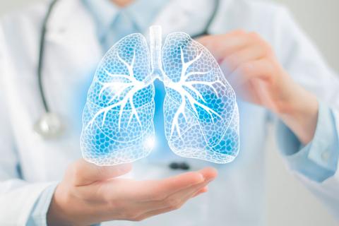 Médico mostrando una infografía 3D de un pulmón