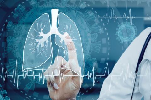 Infografía de un pulmón