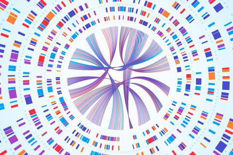 Infografía del genoma humano