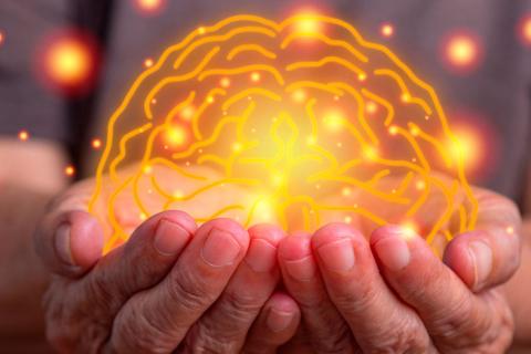 AI predicts brain aging associated with Alzheimer’s