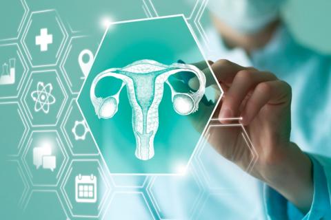 Médico usando la IA para predecir el cáncer de endometrio