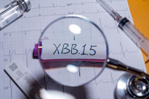 Europe approves a vaccine adapted to XBB.1.5, the dominant subvariant