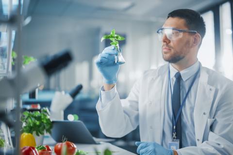 Científico estudiando una planta en el laboratorio