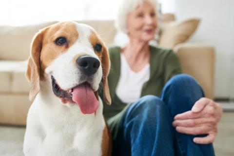 Mujer mayor sentada con su perro en casa