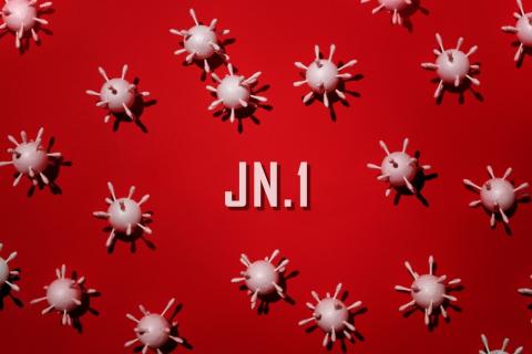 Variante del coronvirus JN.1