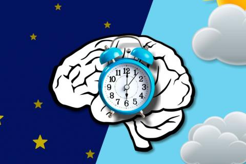 The imbalance between sleep and the biological clock damages mental health