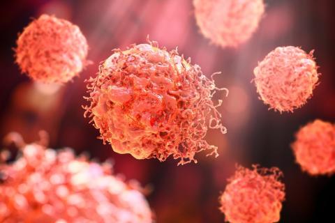 Combining fasting and chemotherapy would improve the response against cancer