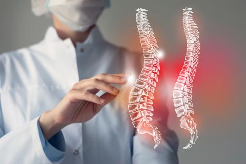 Doctor señalando una imágen 3D de una columna vertebral humana
