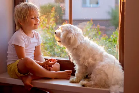 Niño pequeño habla a su perro sentado junto a él