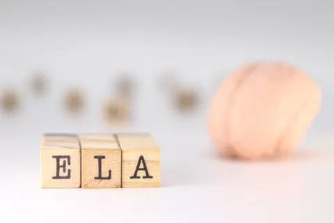 Esclerosis lateral amiotrófico, concepto de causa genética Palabra ELA formada en trozos de madera con un cerebro difuminado detrás