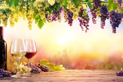 Variedades de vino blanco y tinto servidos en copa en un viñedo Botellas y copas de vino blanco sobre una mesa en un viñedo al atardecer