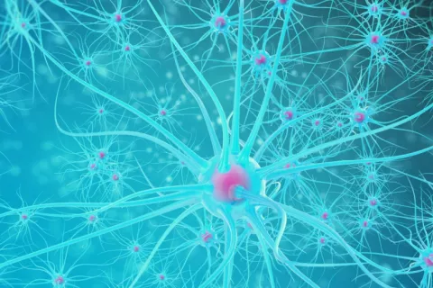 Astrocitos en el cerebro humano Ilustración de la red de neuronas del sistema nervioso