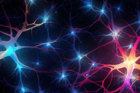Red neuronal iluminada