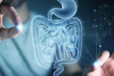 Sanitario utiliza rayos X digitales de exploración holográfica en una imagen 3D del intestino humano